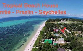 Tropical Beach House
